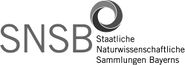 Staatliche Naturwissenschaftliche Sammlungen Bayerns