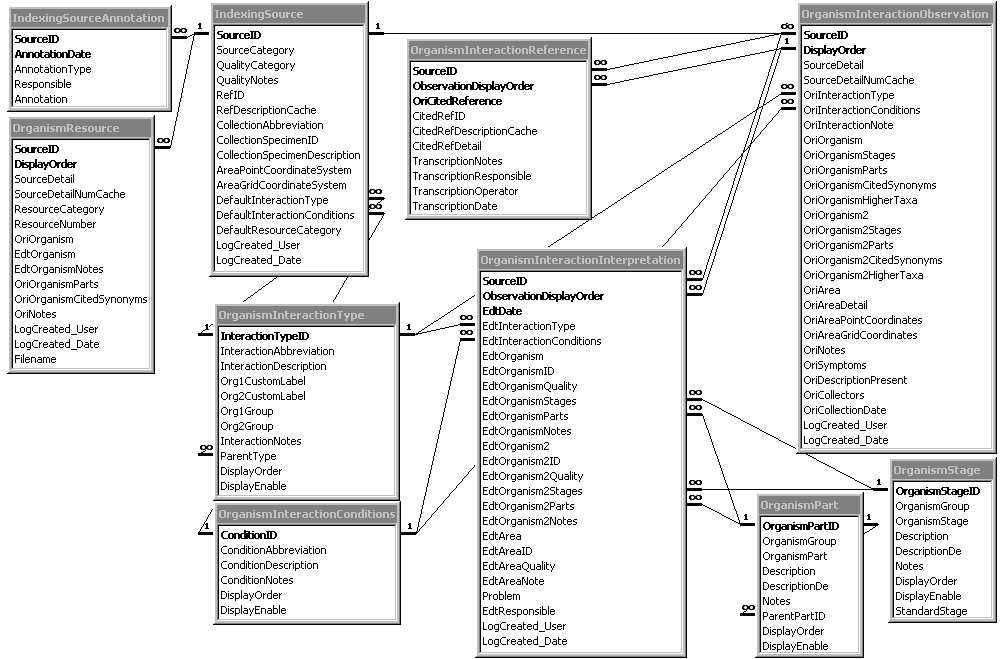 Entity relationship diagram of DiversityReferencesData_Indexing