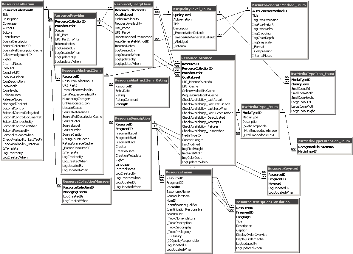 Entity relationship diagram of DiversityResources